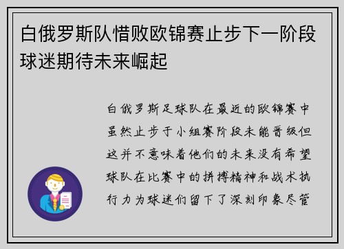 白俄罗斯队惜败欧锦赛止步下一阶段球迷期待未来崛起