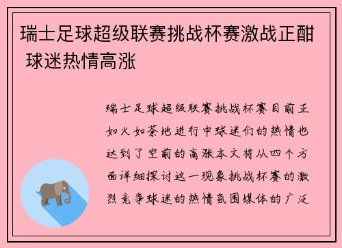 瑞士足球超级联赛挑战杯赛激战正酣 球迷热情高涨