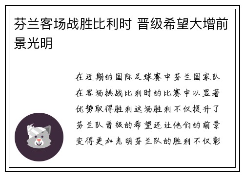 芬兰客场战胜比利时 晋级希望大增前景光明