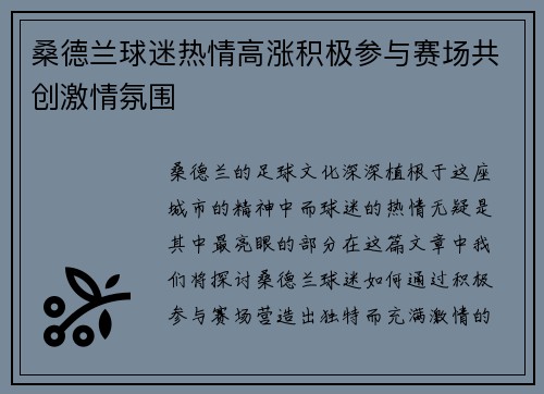 桑德兰球迷热情高涨积极参与赛场共创激情氛围