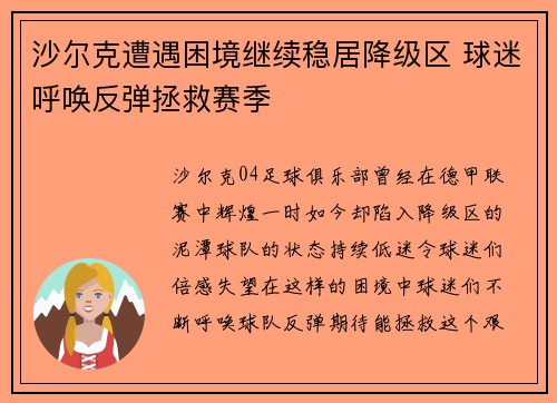 沙尔克遭遇困境继续稳居降级区 球迷呼唤反弹拯救赛季