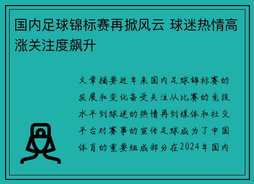 国内足球锦标赛再掀风云 球迷热情高涨关注度飙升