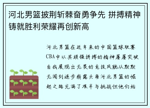河北男篮披荆斩棘奋勇争先 拼搏精神铸就胜利荣耀再创新高