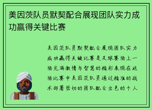 美因茨队员默契配合展现团队实力成功赢得关键比赛