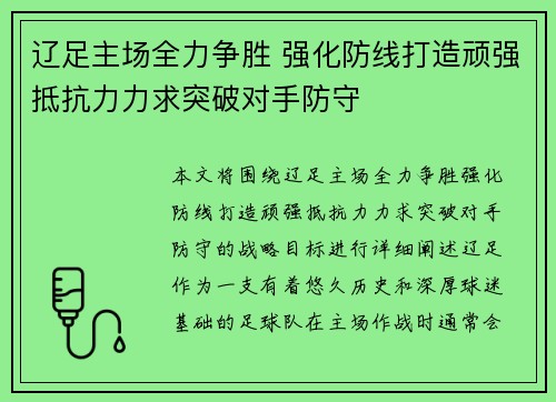 辽足主场全力争胜 强化防线打造顽强抵抗力力求突破对手防守
