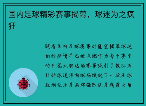 国内足球精彩赛事揭幕，球迷为之疯狂
