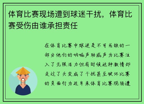 体育比赛现场遭到球迷干扰，体育比赛受伤由谁承担责任